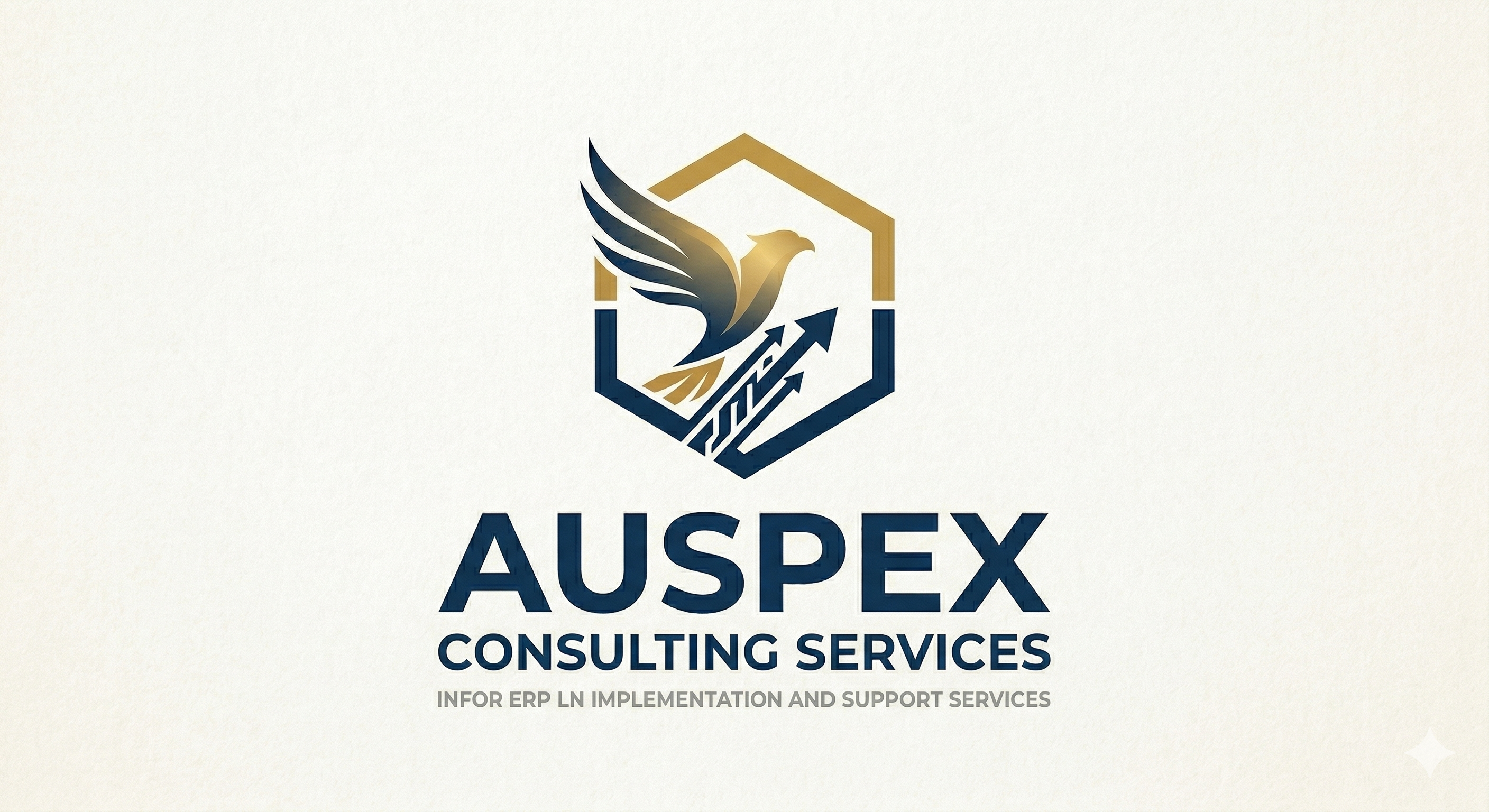 Auspex Consulting Services